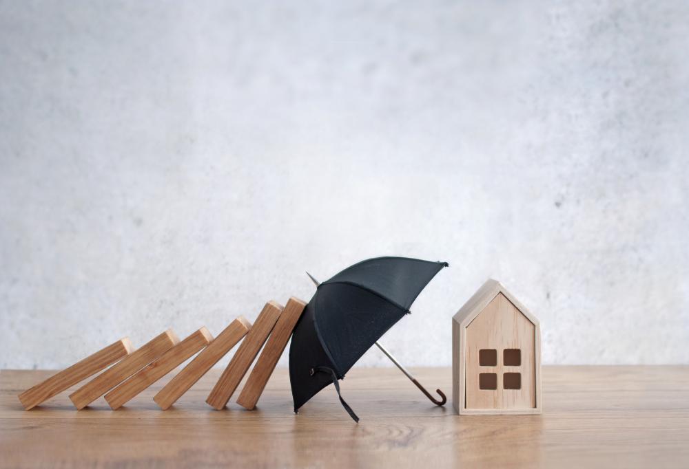 assurance emprunteur